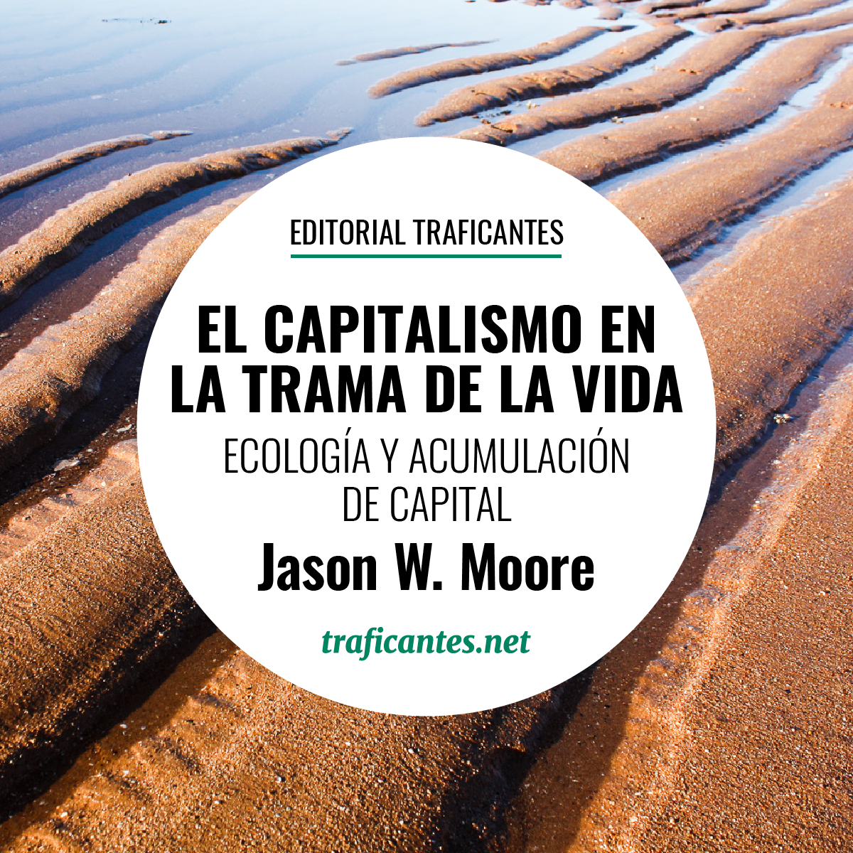 capitalismo_trama_moore.png