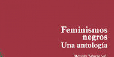 Portada Feminismos negros