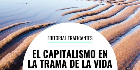  El libro de Jason W. Moore ‘El capitalismo en la trama de la vida’ es una contribución muy notable para entender lo que el título reza, que a su vez es determinante para comprender el presente. 