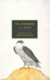 Imagen de cubierta: THE PEREGRINE