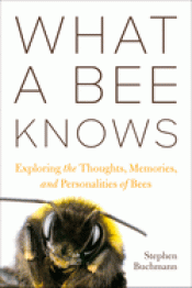Cover Image: WHAT A BEE KNOWS