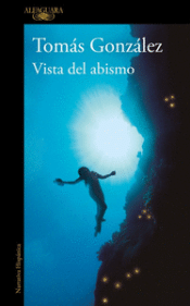Cover Image: VISTA DEL ABISMO