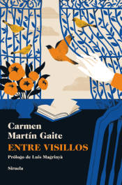 Cover Image: ENTRE VISILLOS
