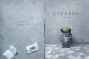 Cover Image: CIGARRA