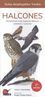 Cover Image: HALCONES