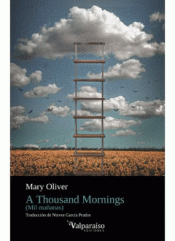 Cover Image: A THOUSAND MORNINGS