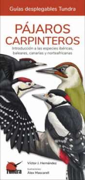 Cover Image: PÁJAROS CARPINTEROS