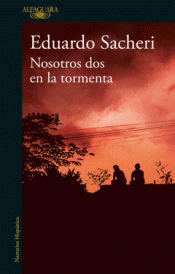 Cover Image: NOSOTROS DOS EN LA TORMENTA