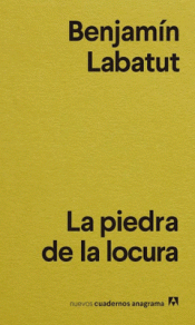 Cover Image: LA PIEDRA DE LA LOCURA