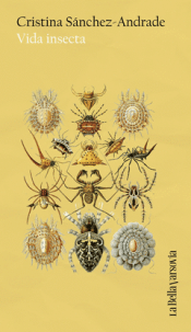 Cover Image: VIDA INSECTA