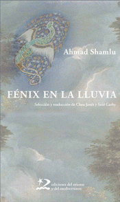 Imagen de cubierta: FÉNIX EN LA LLUVIA
