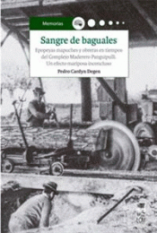 Imagen de cubierta: SANGRE DE BAGUALES