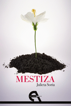 Imagen de cubierta: MESTIZA