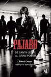 Cover Image: PAJARO
