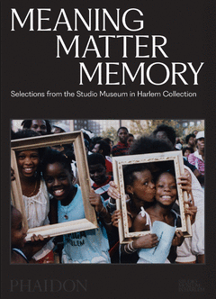 MEANING MATTER MEMORY Cover Image: MEANING MATTER MEMORY