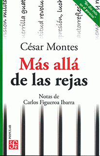 Cover Image: MÁS ALLÁ DE LAS REJAS