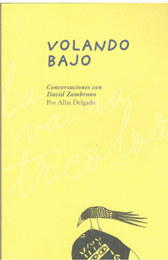 Imagen de cubierta: VOLANDO BAJO