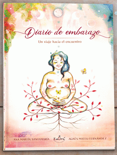 Cover Image: DIARIO DE UN EMBARAZO