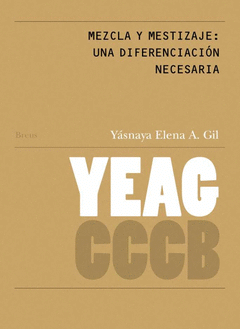 MEZCLA Y MESTIZAJE / MIX AND MESTIZAJE Cover Image: MEZCLA Y MESTIZAJE / MIX AND MESTIZAJE