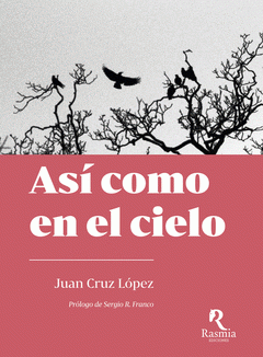Cover Image: ASÍ COMO EN EL CIELO