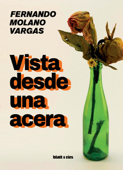 Cover Image: VISTA DESDE UNA ACERA