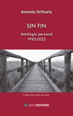 Cover Image: SIN FIN