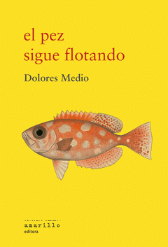 Cover Image: EL PEZ SIGUE FLOTANDO