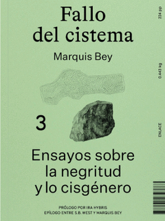 Cover Image: FALLO DEL CISTEMA