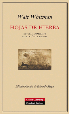 Imagen de cubierta: HOJAS DE HIERBA