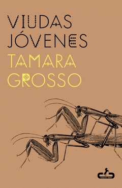 Cover Image: VIUDAS JÓVENES
