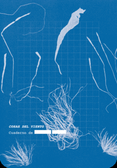 Cover Image: COSAS DEL VIENTO