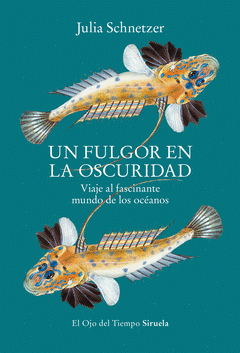 Cover Image: UN FULGOR EN LA OSCURIDAD