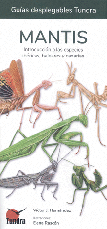 MANTIS Cover Image: MANTIS