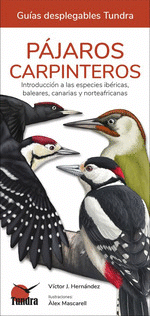 Cover Image: PÁJAROS CARPINTEROS