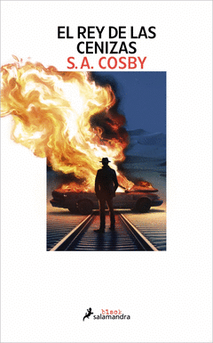 EL REY DE LAS CENIZAS Cover Image: EL REY DE LAS CENIZAS