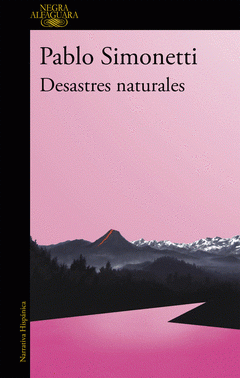 Imagen de cubierta: DESASTRES NATURALES
