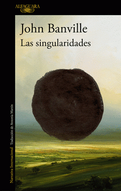 Cover Image: LAS SINGULARIDADES