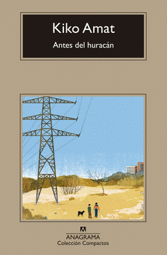 Cover Image: ANTES DEL HURACÁN