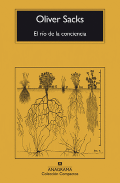 EL RÍO DE LA CONCIENCIA Cover Image: EL RÍO DE LA CONCIENCIA