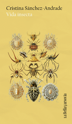 Cover Image: VIDA INSECTA