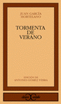 Imagen de cubierta: TORMENTA DE VERANO