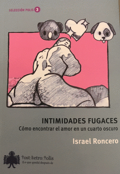  INTIMIDADES FUGACES