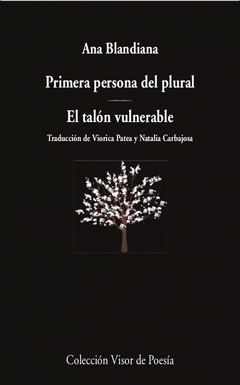 Cover Image: PRIMERA PERSONA DEL PLURAL / EL TALÓN VULNERABLE