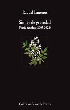Cover Image: SIN LEY DE GRAVEDAD