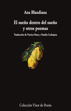 Cover Image: EL SUEÑO DENTRO DEL SUEÑO Y OTROS POEMAS
