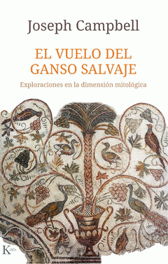 Cover Image: EL VUELO DEL GANSO SALVAJE
