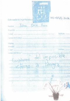 Cover Image: CUADERNO DEL IMPOSIBLE RETORNO AL PANGEA