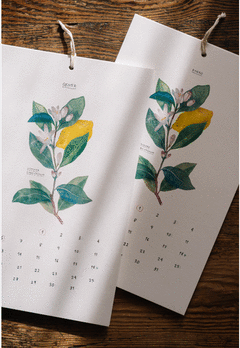 Cover Image: CALENDARIO BOTÁNICO 2026