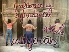 Cover Image: GRAFITERAS Y AGITADORAS CALLEJERAS