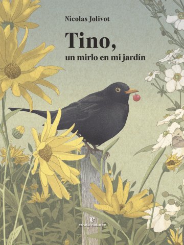 Cover Image: TINO, UN MIRLO EN MI JARDÍN